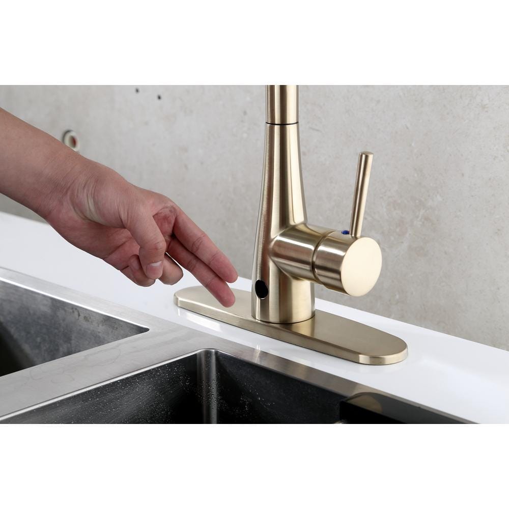 Norwich Matte Gold High-Arc Pull-Down Kitchen Faucet