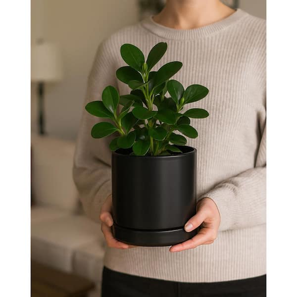 OGETFUUR 2-Pack 6.5 in. Plants Pots, Ceramic Planter Pot for