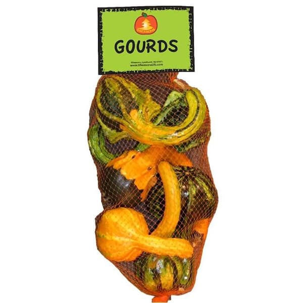 Mixed Bag Harvest Gourds Gourd 1 - The Home Depot