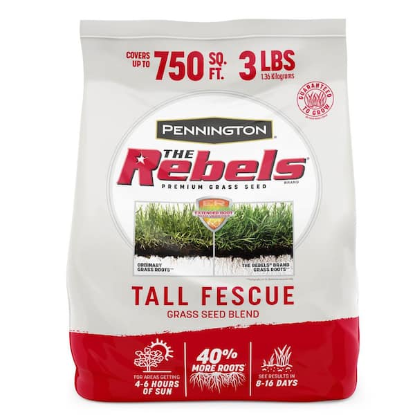 The Rebels 3 lb. 750 sq. ft. Tall Fescue Grass Seed Blend