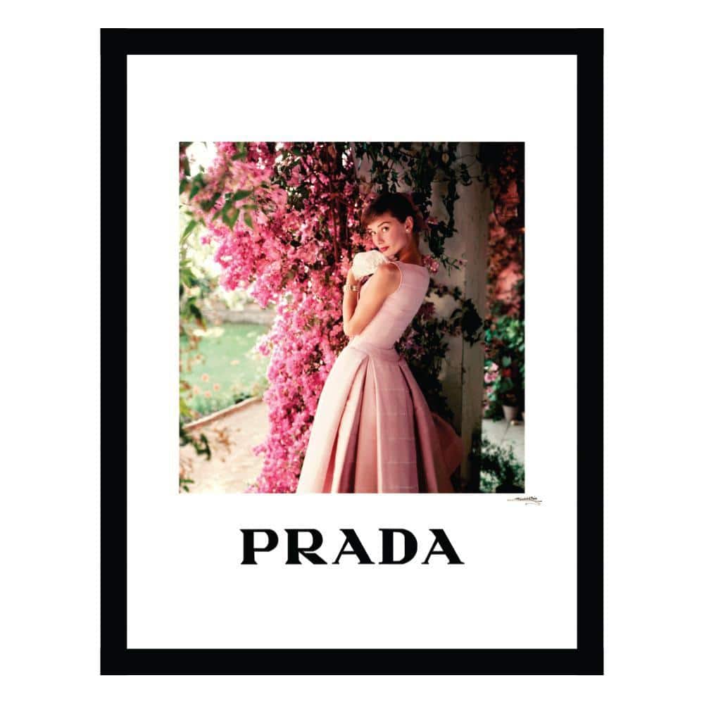 Audrey Hepburn Designer Fashion by Fairchild Paris Framed Graphic Print People Poster Art Print 18 in. x 14 in. price history on PriceWatchPro
