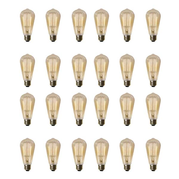 60-Watt ST19 Dimmable Cage Filament Amber Glass E26 Incandescent Vintage Edison Light Bulb, Warm White (24-Pack)