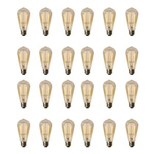 60-Watt ST19 Dimmable Cage Filament Amber Glass E26 Incandescent Vintage Edison Light Bulb, Warm White (24-Pack)