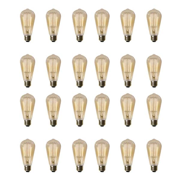 Feit Electric 60-Watt ST19 Dimmable Cage Filament Amber Glass E26 Incandescent Vintage Edison Light Bulb, Warm White (24-Pack)