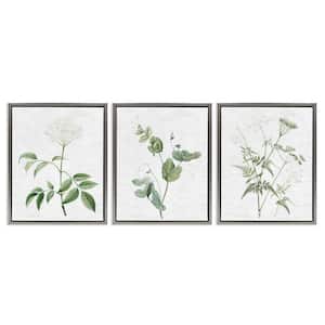 Soft White Botanicals by Lettered and Lined 3 Pieces Gray Floater Frame Nature Graphic Art Print 31 in. x 25 in.