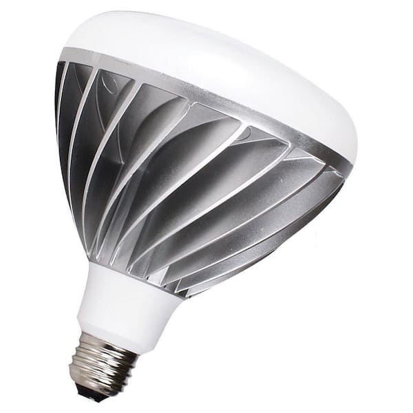 Generation Lighting 18W Equivalent Bright White (2700K) BR40 LED Light Bulb (E)*