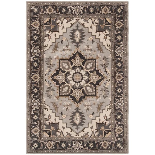 SAFAVIEH Royalty Silver/Charcoal 4 ft. x 6 ft. Border Area Rug