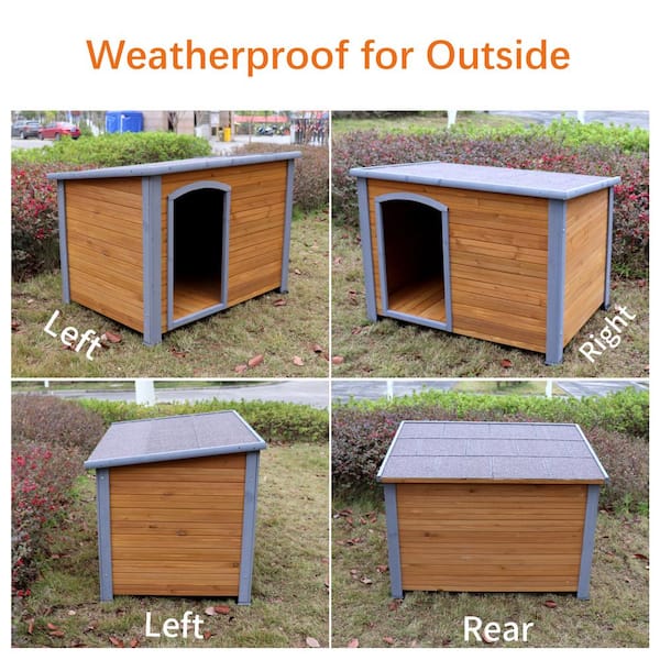 Heated dog outlet house for sale