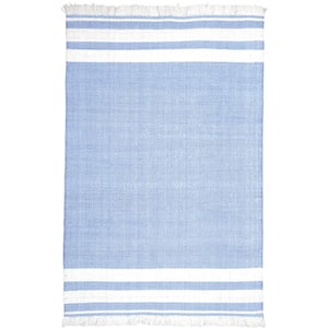 Asher Blue 7 ft. 9 in. x 9 ft. 9 in. Striped PET Polyester Indoor/Outdoor Area Rug