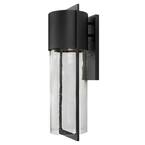 Shelter 1-Light Black Outdoor Wall Lantern Sconce