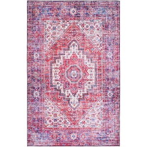 Tuscon Red/Blue 6 ft. x 9 ft. Machine Washable Ikat Border Area Rug