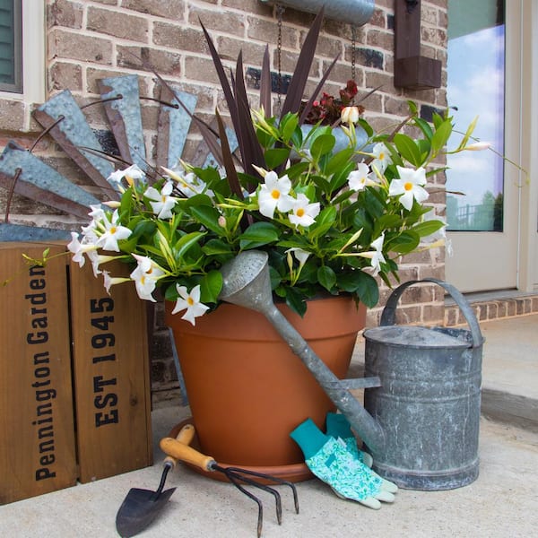 16 in - Planter Saucers - The Home Depot