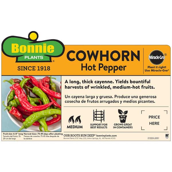 19 oz. Cowhorn Hot Pepper Plant