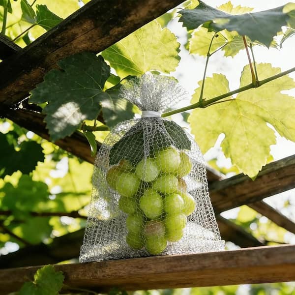 Rust‑Proof Mesh, Silver Reusable Grocery Protection Bag, 8x12 in., Set of 30 Pack for Garden Fruit and Vegetable Storage
