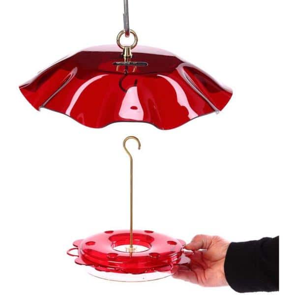 Red Polycarbonate Hanging Hummingbird Feeder with Brass Accents