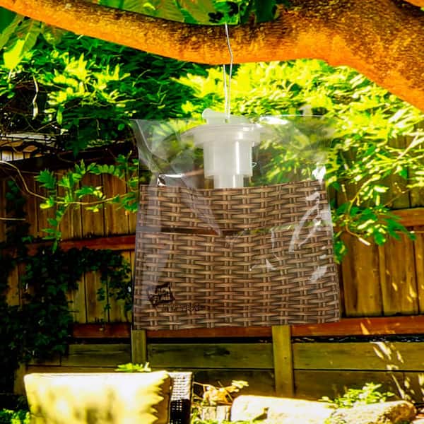 BLACK FLAG Fly Paper Indoor/Outdoor Insect Trap (4-Pack)