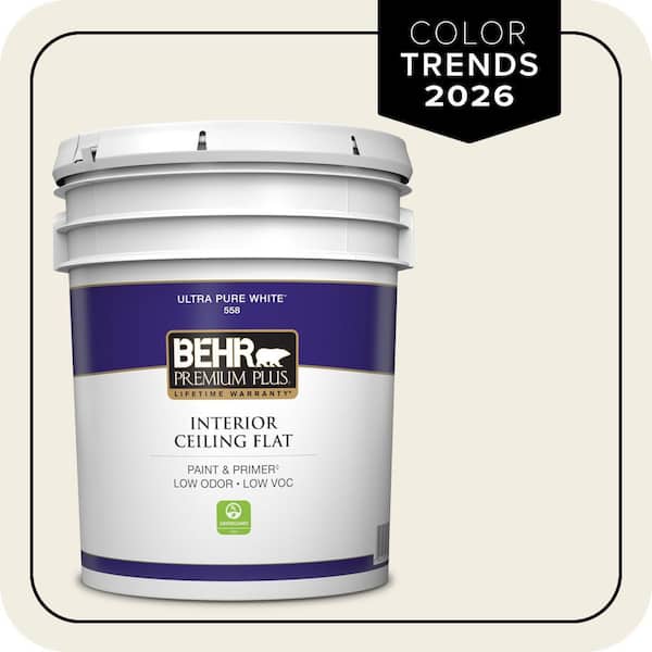 5 gal. Designer Collection #DC-003 Blank Canvas Ceiling Flat Interior Paint