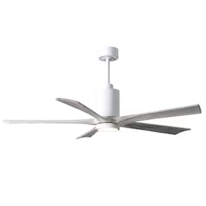 Patricia 60 in. LED Indoor/Outdoor Damp Gloss White Ceiling Fan with Light