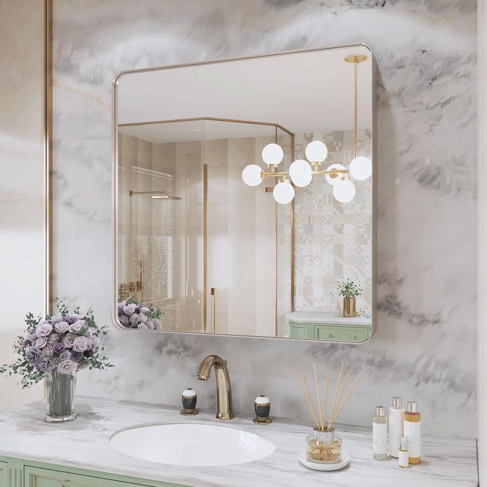 30 in. W x 30 in. H Premium Aluminum Framed Rectangular Bathroom Vanity Wall Mirror in Brushed Nichel price history on PriceWatchPro
