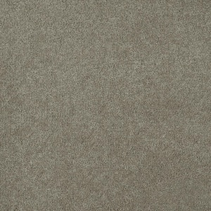 Chastain II - Tamer - Brown 60 oz. SD Polyester Texture Installed Carpet