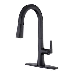 Ardua Single-Handle Pull-Down Sprayer Kitchen Faucet with Accessories in Rust and Spot Resist in Matte Black