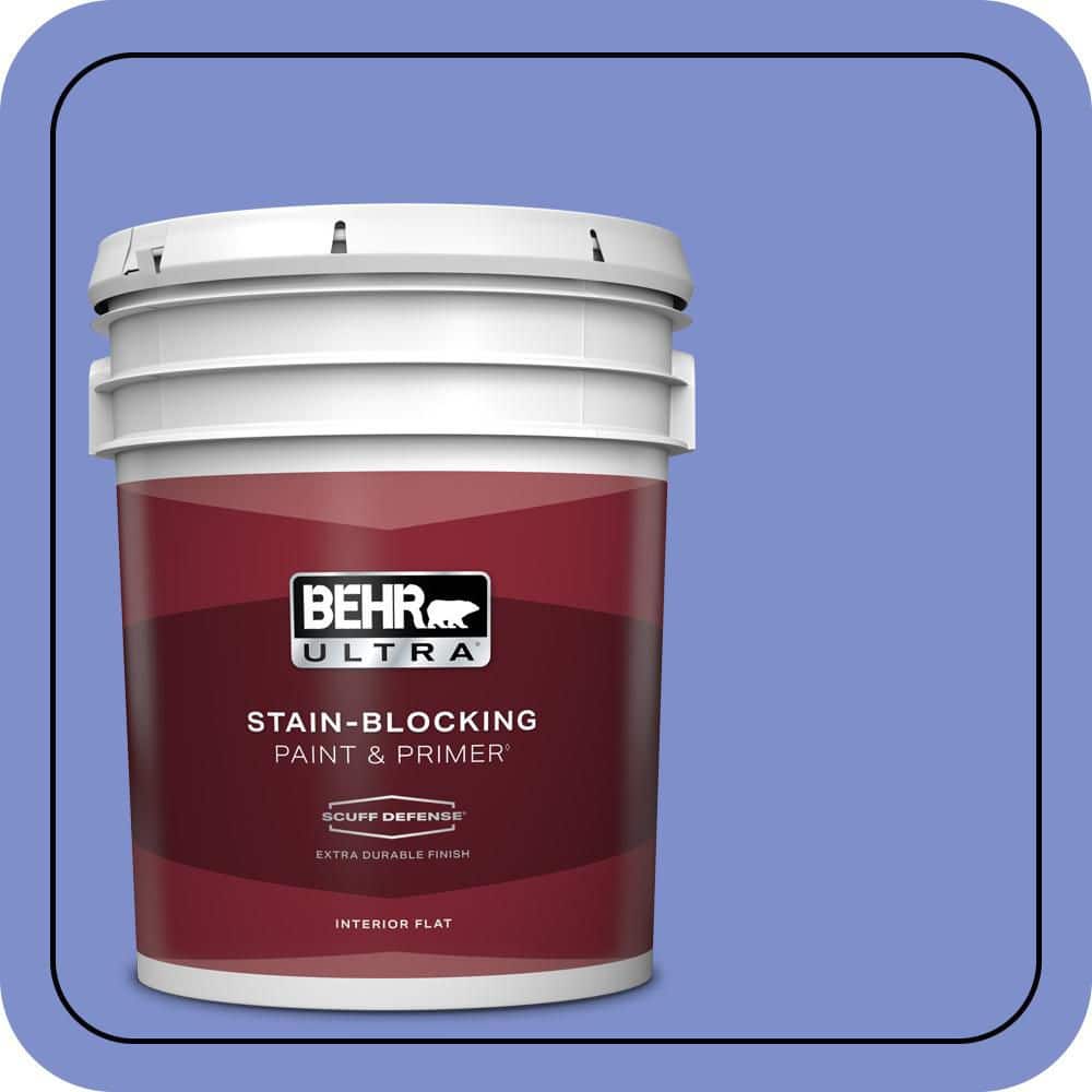 5 gal. #P540-5 Pansy Garden Extra Durable Flat Interior Paint & Primer price history on PriceWatchPro