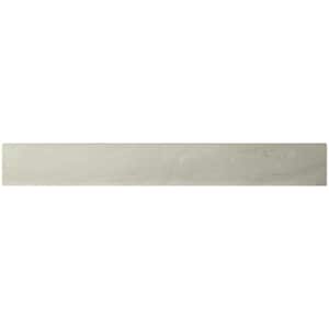 Pavia Gray Bullnose 3 in. x 24 in. Polished Porcelain Floor and Wall Tile (60 linear ft./Case)