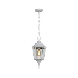 Kinglet 1-Light White Outdoor Hanging Pendant Light with Clear Glass