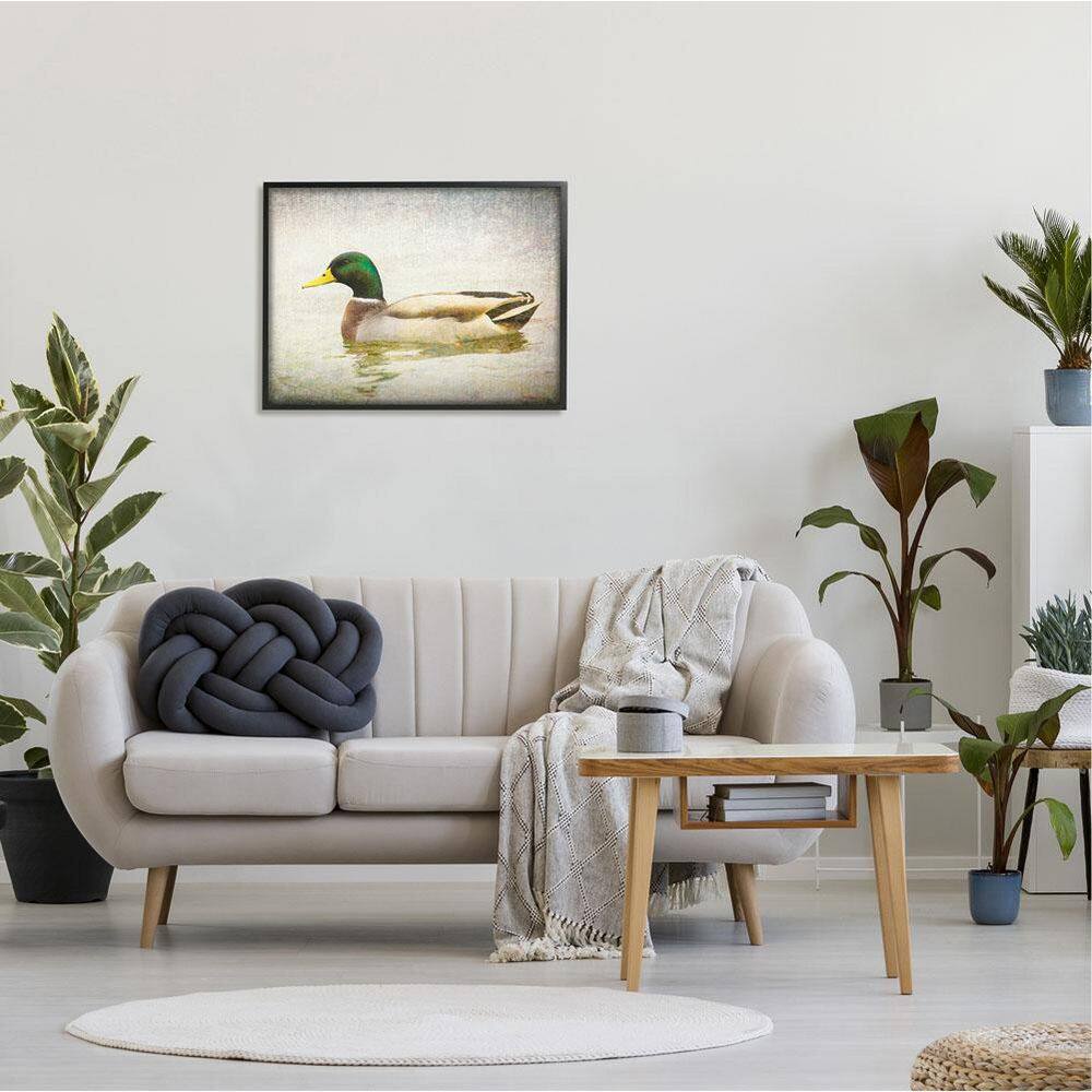 Peaceful Mallard Duck Bird Swimming Water Detailed Framed Canvas Print