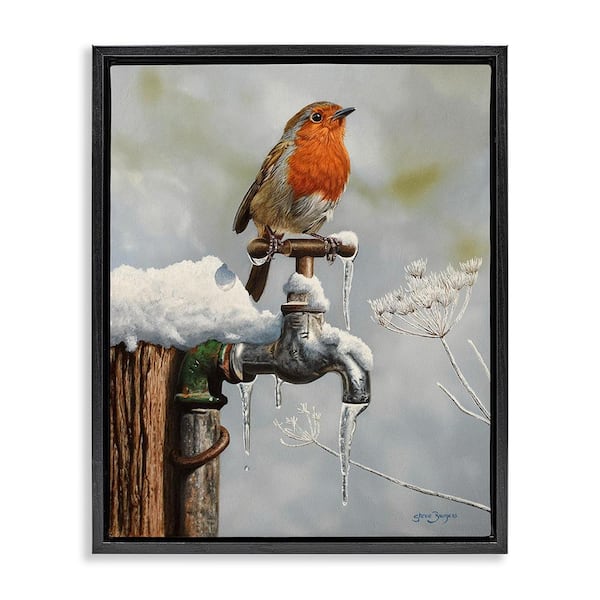 Stupell Industries Robin Bird and Winter Scene by Steve Burgess 1-Piece Floater Frame Graphic Print Animal Poster Art Print 31 in. x 25 in.