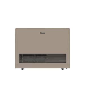 Rinnai EnergySaver 21,500 BTU Direct Vented Wall Furnace Natural