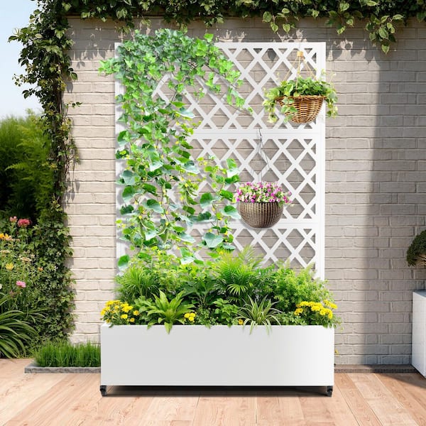 71 in. x 47 in. x 16 in. Raised Garden Bed with Trellis Metal Planter Box with Trellis and Privacy Screen White