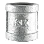 1/8 in. Galvanized Iron Coupling