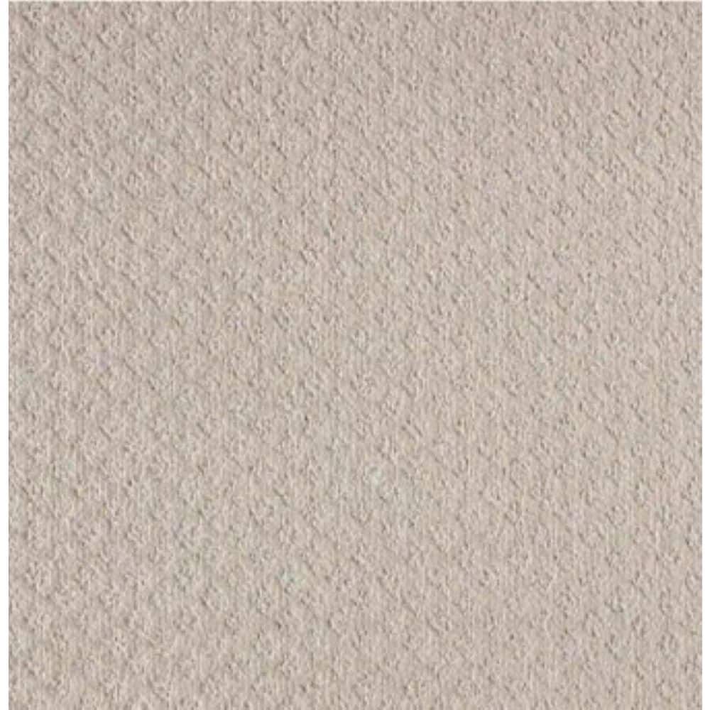 8 in. x 8 in. Pattern Carpet Sample - Bradlow - Color Tumbleweed price history on PriceWatchPro