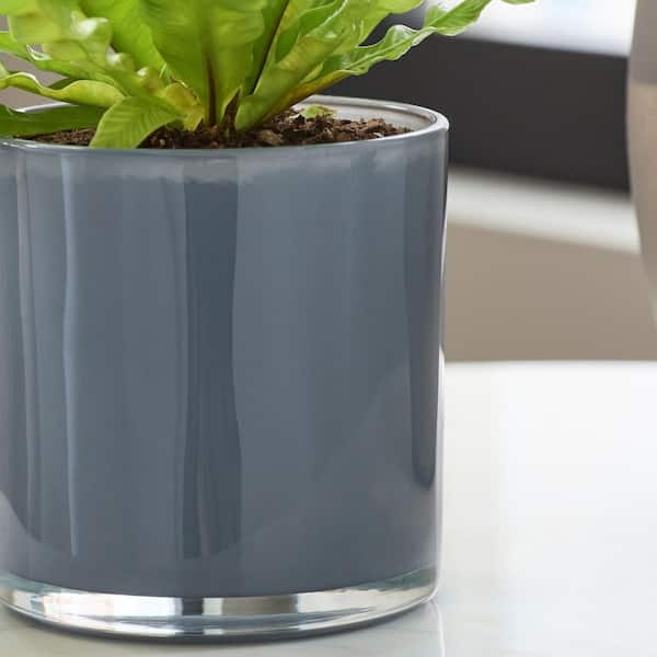 Vigoro Cora Small Blue Gray Indoor Glass Round Planter (3.94 in. L x 3.94 in. W x 3.94 in. H)