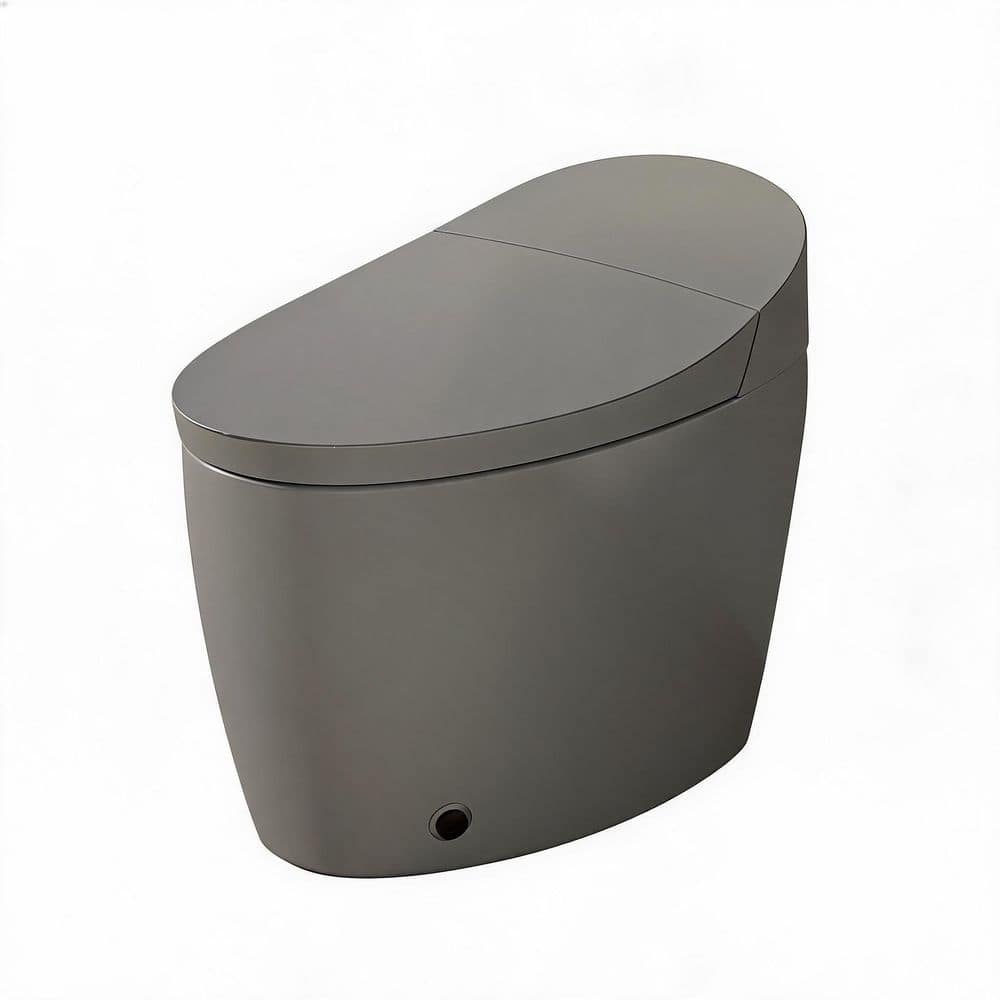 Elongated Bidet Toilet 1.28 GPF in Grey with Heated Seat, Auto Open/Close, Foot Kick, Warm Water Dryer, Night Light price history on PriceWatchPro