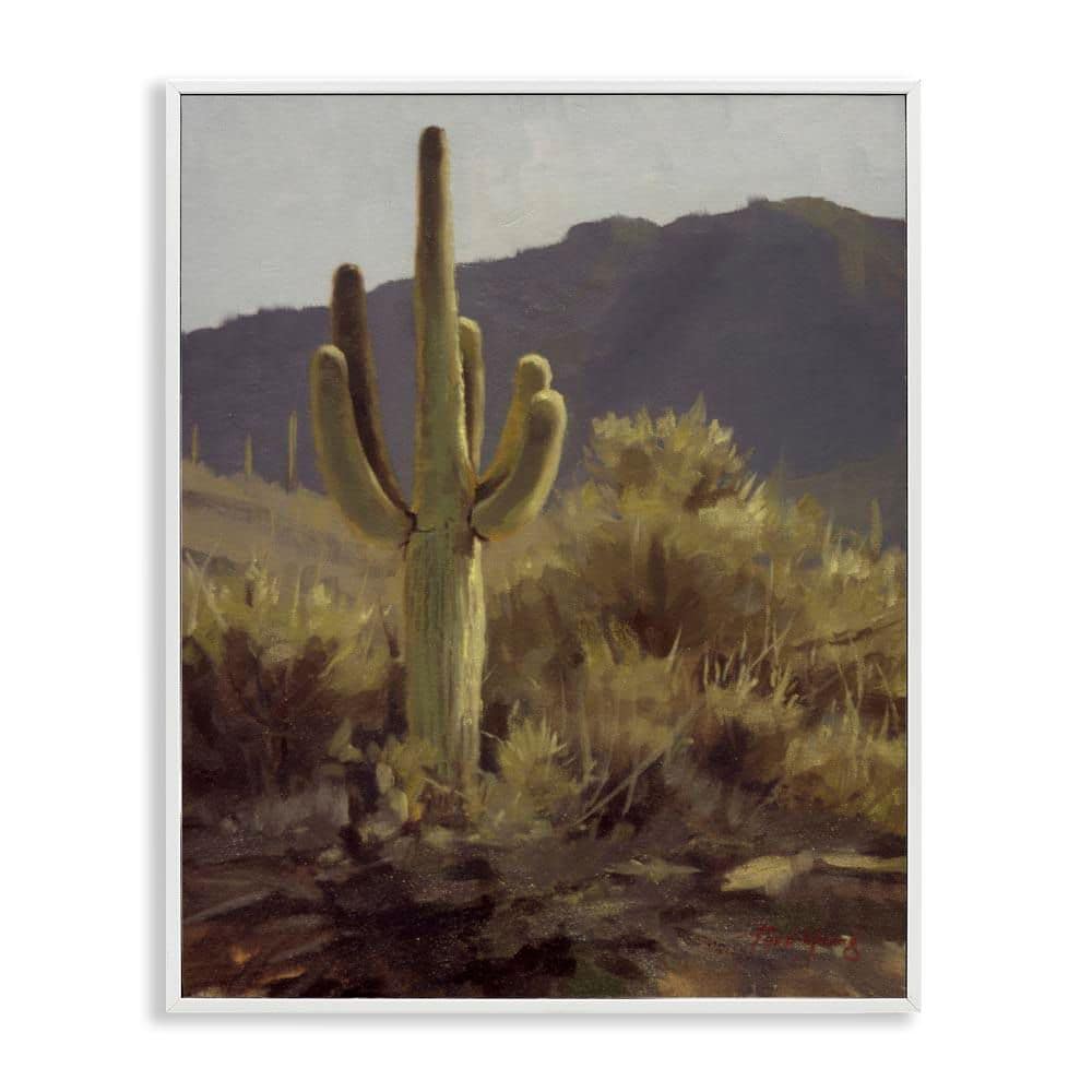Bold Cactus Mountain Overlook by Paco Young White Framed Nature Giclee Art Print 20 in. x 16 in. price history on PriceWatchPro