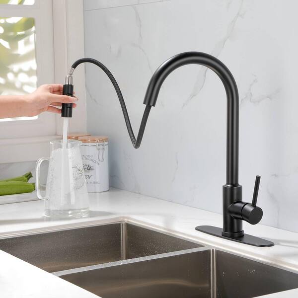 FLG Single Handle Pull Down Sprayer Kitchen Faucet with Pull Out