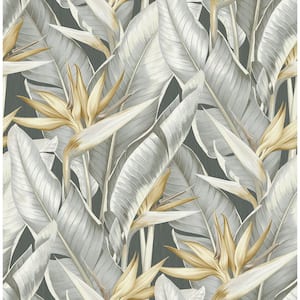 Arcadia Grey Banana Leaf Paper Strippable Roll Wallpaper (Covers 56.4 sq. ft.)