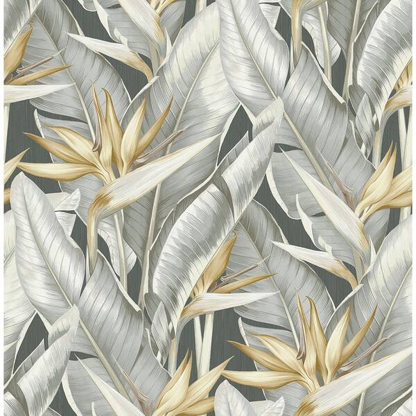 Kenneth James Arcadia Grey Banana Leaf Paper Strippable Roll Wallpaper (Covers 56.4 sq. ft.)