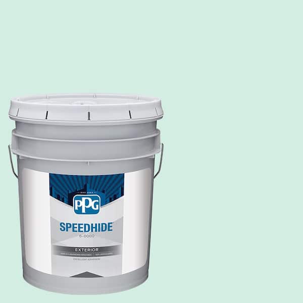 SPEEDHIDE 5 gal. PPG1229-1 Wintergreen Satin Exterior Paint