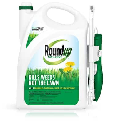 Spurge Weed Killer Lawn Care The Home Depot