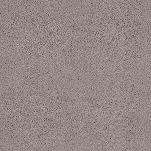 Around The World - Dolphin - Brown 56.2 oz. Nylon Texture Installed Carpet