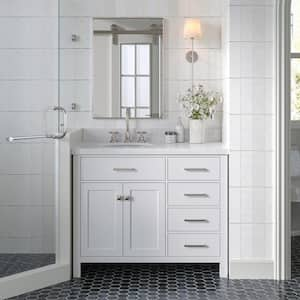 Bristol 42 in. W x 21.5 in. D x 34.5 in. H Freestanding Bath Vanity Cabinet without Top in White