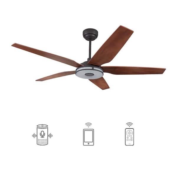 CARRO Starfish 56 in. Dimmable LED Indoor/Outdoor Black Smart Ceiling Fan with Light and Remote, Works with Alexa/Google Home