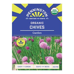 Organic Chives Garden Herb Seed