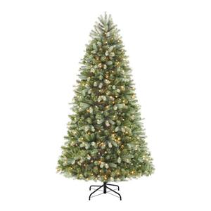 7.5 ft Hogan Fir Pre-Lit LED Artificial Christmas Tree with 500 Warm White Mini Lights