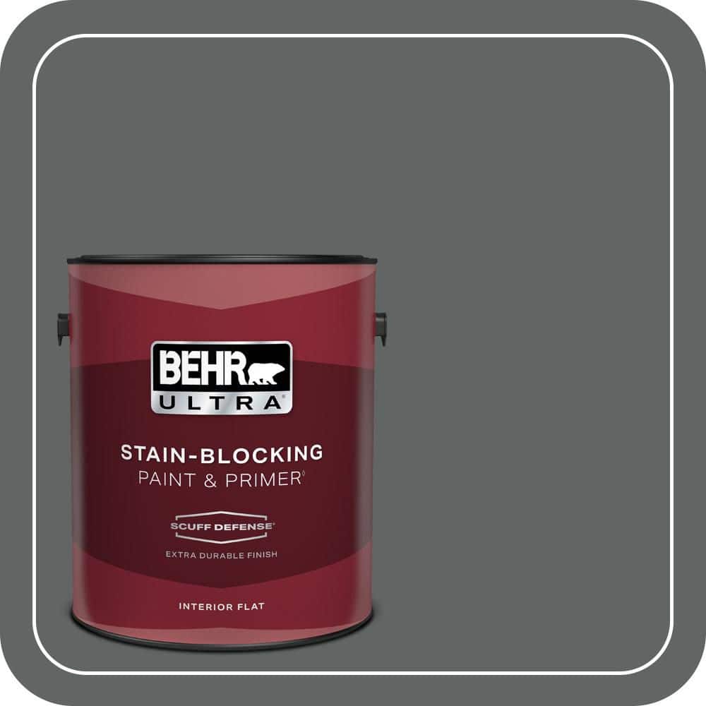1 gal. Home Decorators Collection #HDC-MD-28 Cordite Extra Durable Flat Interior Paint & Primer product image for price tracking