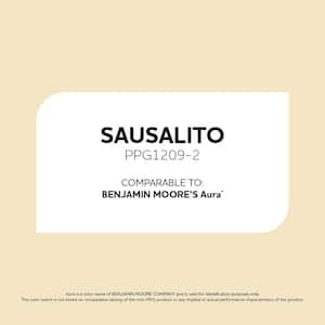 Sausalito PPG1209-2 Paint - Comparable to BENJAMIN MOORE'S Aura