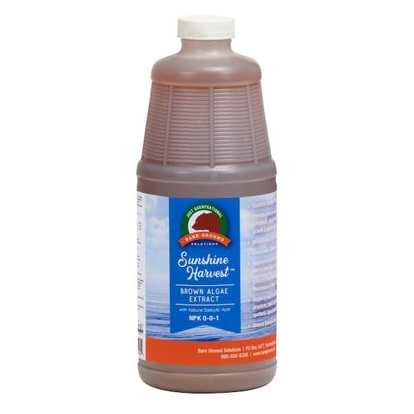 32 oz. Brown Algae with Natural Salicylic Acid